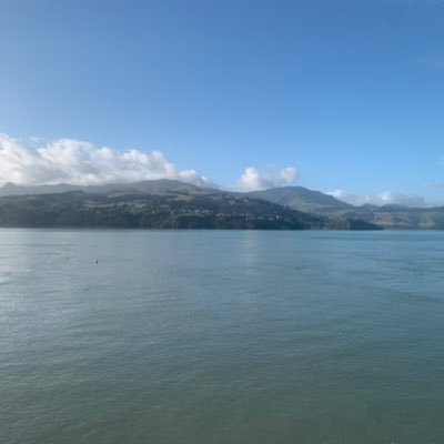 k66k6zvmy4's profile picture. Where are you YEEZY