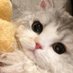 amy (@matiacrrasx) Twitter profile photo amy (@matiacrrasx) Twitter profile photo