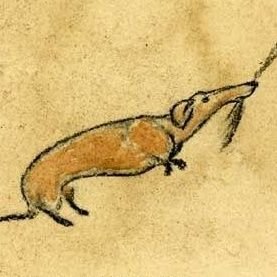 vani_nyc's profile picture. pris par l'ivresse typique de l'errance inconsidérée