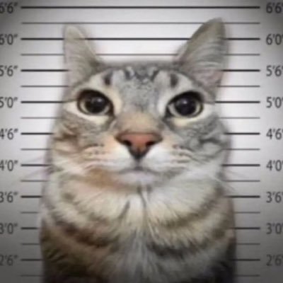 cdisgring's profile picture. 