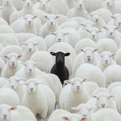 laksa_jr's profile picture. Weekly Gnosis from lived experience. Not a teacher—just remembering with you