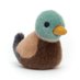 EE (@ekk1mukk) Twitter profile photo EE (@ekk1mukk) Twitter profile photo