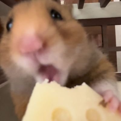 아뭘さんのプロフィール画像