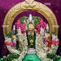 🔯Viju Thevar🇮🇳 (@viju21676) 's Twitter Profile Photo 🔯Viju Thevar🇮🇳 (@viju21676) 's Twitter Profile Photo