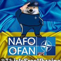 Peter Shaw (@petersh90080307) 's Twitter Profile Photo