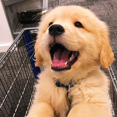 prpriynnph87112's profile picture. 