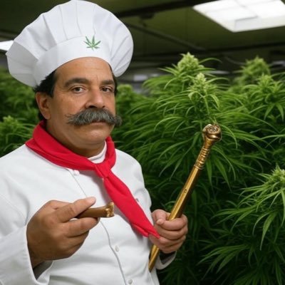 Flavor Chef Genetics Profile