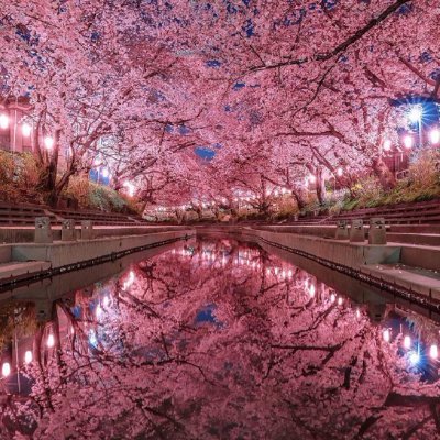 pedi2248's profile picture. me and yor for ever