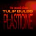 Tulip Bulbs (@_tulipbulbs) Twitter profile photo Tulip Bulbs (@_tulipbulbs) Twitter profile photo