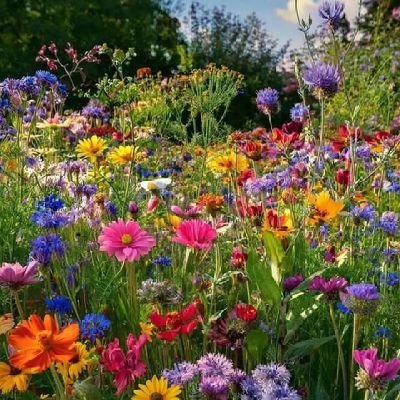 jiunes72582's profile picture. 