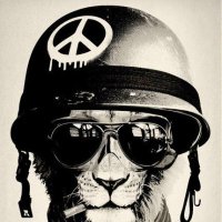 Hunter Rocky π² (@hwk59zzz) 's Twitter Profile