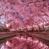 Hasan (@hasan1444261) 's Twitter Profile