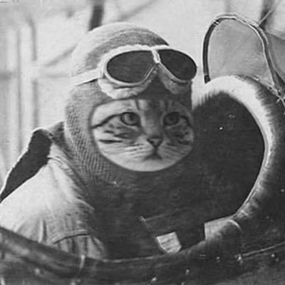 zz_flying's profile picture. 