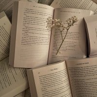 ali 📖📚 (@c0ver2c0ver) Twitter profile photo
