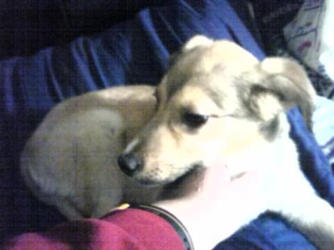 redjoekido's profile picture. Likes to write and draw