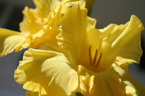 KelynCeleskey's profile picture. 