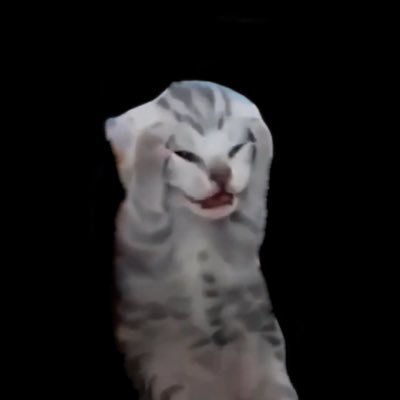 レイモン‎さんのプロフィール画像