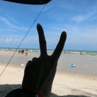 🌻PPCHUAS 🦋 (@ppchuas) 's Twitter Profile Photo 🌻PPCHUAS 🦋 (@ppchuas) 's Twitter Profile Photo