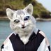リク🐈⬛占いやハンドメイドが大好きな猫 (@nekolove8120063) Twitter profile photo リク🐈⬛占いやハンドメイドが大好きな猫 (@nekolove8120063) Twitter profile photo