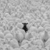 TEM (@d_black_sheepp) Twitter profile photo TEM (@d_black_sheepp) Twitter profile photo