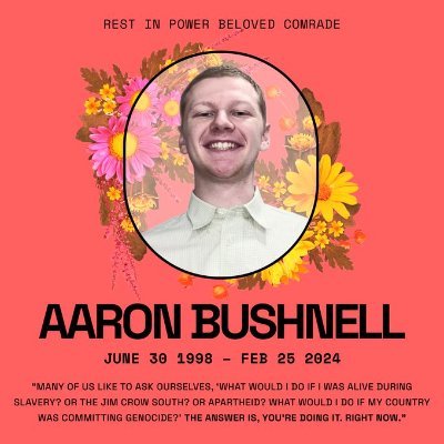 KorallRebell's profile picture. 