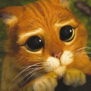 souravroysid's profile picture. 