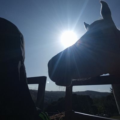 bil_aafiyah's profile picture. 🫧🪺