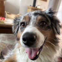 Vítek R (@rybarikvitek) 's Twitter Profile