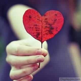 hhhii08's profile picture. لا تبحث في الحياة عن السعادة بنفس المكان الذي فقدتها فيه.
44