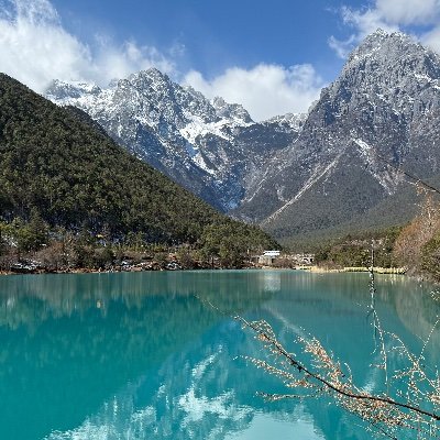 yonglilimdj's profile picture. 