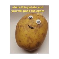 Beejoy Volleytube (@beejoy_volley) 's Twitter Profile Photo