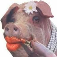 sara00210896365's profile picture. Sw: 81
Cw: 73
Gw: 58