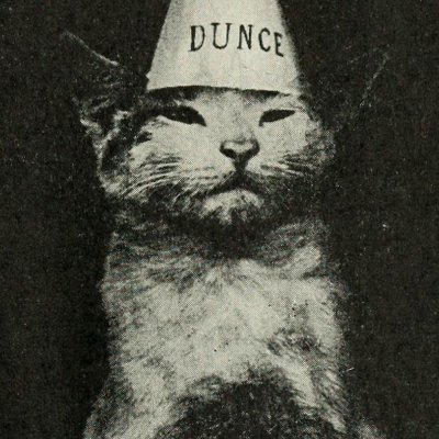 fsgdfg3790862's profile picture. Interested in Marxism, Geopolitics, Tech