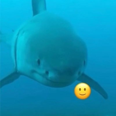 noctisdrgn's profile picture. they/he