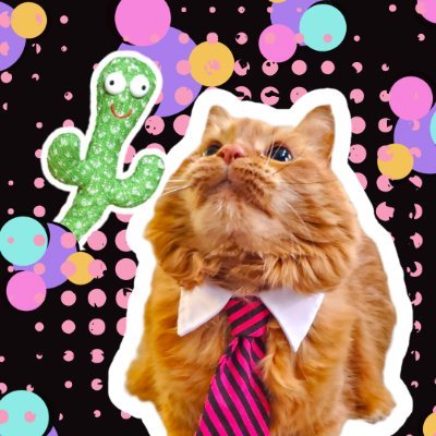 NotKatieSanders's profile picture. Definitely not Katie