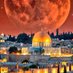 Üretici (@imarbarm) Twitter profile photo