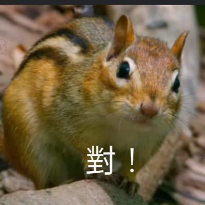 eric20220710's profile picture. 純粹看影片 不會做任何回應 女生不要來追蹤 #Gay #1 #たち