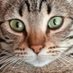 Msc 55 (@mehmetselu91637) Twitter profile photo Msc 55 (@mehmetselu91637) Twitter profile photo