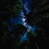 Jonah (@jthemop) 's Twitter Profile Photo