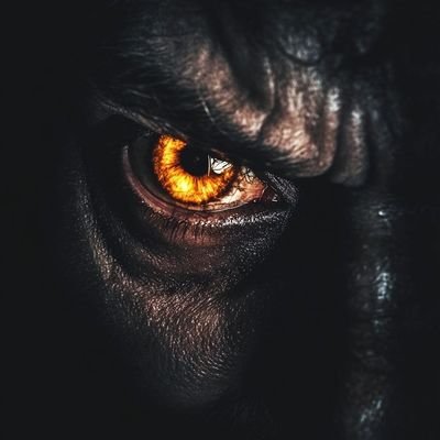 ZzenChaser's profile picture. Surreal visions, speculative dreams.