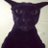 Sagiraidedoser's profile image