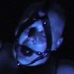 baldy pig (@baldy_pig) 's Twitter Profile