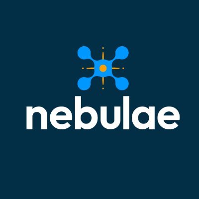 nebulaeng's profile picture. Enterprise Software Design & Development