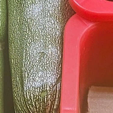 blamk23432's profile picture. 