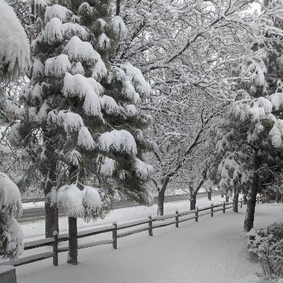 ColoMtn123's profile picture. MAGA Grandmother, Mother and Colorado native. Team USA