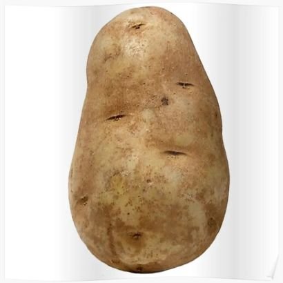 I'm vegan and I know I'm scum... I also like potato's. Glory to UKRAINE. 🇺🇦 🏴 🇬🇧