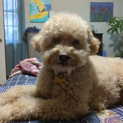 Fancyorb7813's profile picture. 