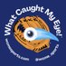What Caught My Eye (@wcme_sports) Twitter profile photo What Caught My Eye (@wcme_sports) Twitter profile photo