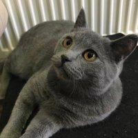 CanlaraYuvaOl (@canlarayuvaol) 's Twitter Profile