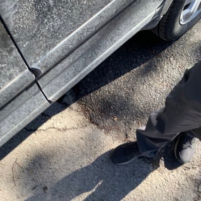 Animalib's profile picture. Fck this platform.